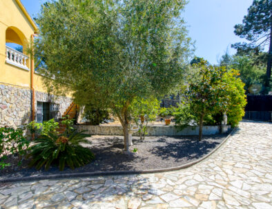 CASA VIDRERES 2 (37 de 55)